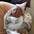 Kim Brewster Lively's profile image