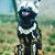 Marvin Perez's profile image