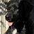 Jodes Holich's profile image