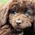Judy Kunderman's profile image