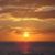 V Susan Byard's profile image