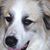 Linda Palermo's profile image
