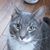 Lynda Williams Tucker's profile image