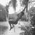 Therese Wright's profile image