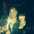 Michele Campion's profile image