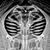 Mike Niedert's profile image