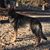 Cynthia Gamache's profile image