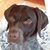 Pam Parshall's profile image