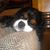 Mary Ann McLachlan's profile image