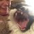 Heather Johnston Wagner's profile image