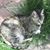 Mary Stoll's profile image