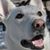 Mike Benak's profile image