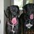 Bob Siefert's profile image