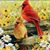 Christy Howard's profile image