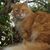 Gail Greco's profile image