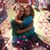 Amy Ragsdale Adkins's profile image