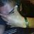 Wilfrido Fer Cristobal Mendoza's profile image