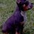 Sean Ryan Tate Sr.'s profile image