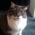Sophie Benford-Mason's profile image