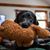 Tina Burgess Robbins's profile image