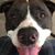 Dean Desormeaux's profile image
