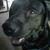 Mary Guido's profile image