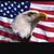 John Riordan's profile image