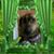 Victoria Pelland's profile image