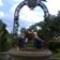 Marti McNally's profile image