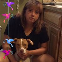 Sheila Sidenstecker's profile image