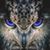 Tina Hornbuckle's profile image