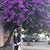 Angie Ostaszewski's profile image