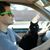 Jason Ungate's profile image