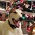 Heather Vasbinder Brown's profile image