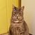 Dawn P Powell's profile image
