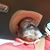 Gary K. Golden's profile image