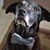 Sloane Rogers's profile image