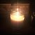 Paula Thornbrugh Piette's profile image