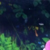Selena S.'s profile image