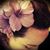 Taty Knight's profile image