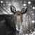Wendy Nelson's profile image
