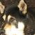 Tom Cannon's profile image