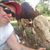 Peter Hofstetter's profile image