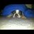 Jacob Hawley's profile image