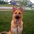 Mike Reilly's profile image