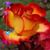 Patty Oneida's profile image
