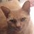 Patricia Lloyd's profile image