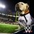Mac Mcbrayer's profile image