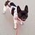 Paula Satin-Shein's profile image