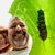 Brian McClellan's profile image